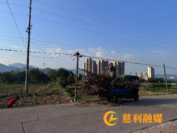 微信图片_20261010090427.jpg