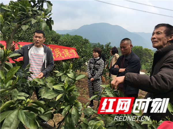 图片2_副本.png 图片2_副本.png