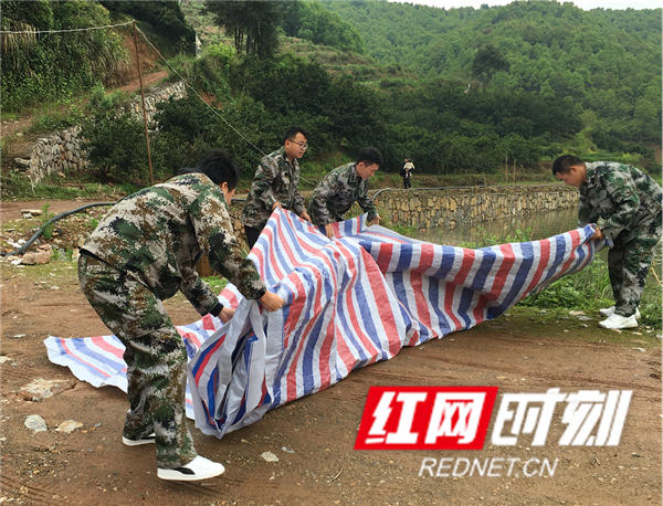 图片2_副本.png 图片2_副本.png