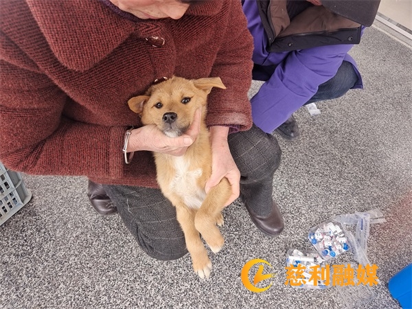 微信图片_20250313082053.jpg