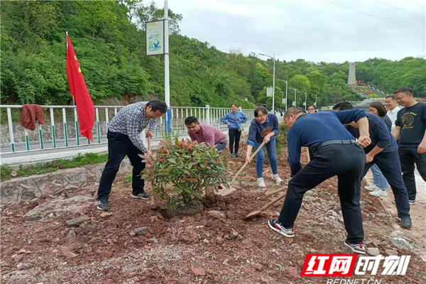 植树2_副本.jpg