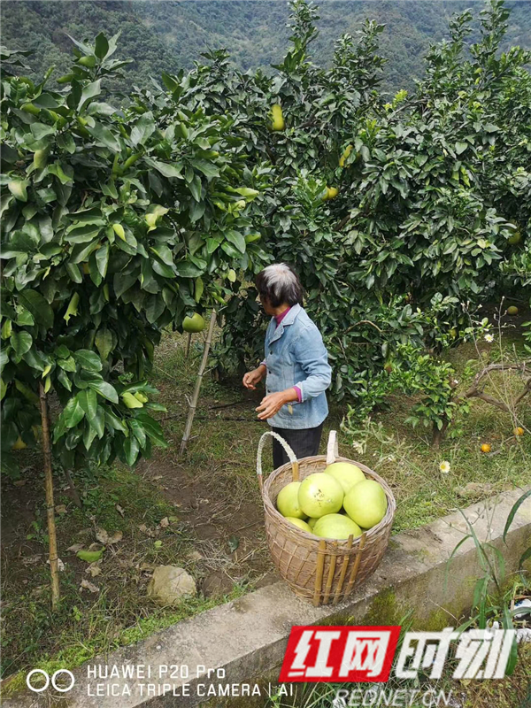 包华1_副本.png 包华1_副本.png