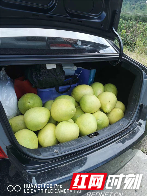 包华2_副本.png 包华2_副本.png