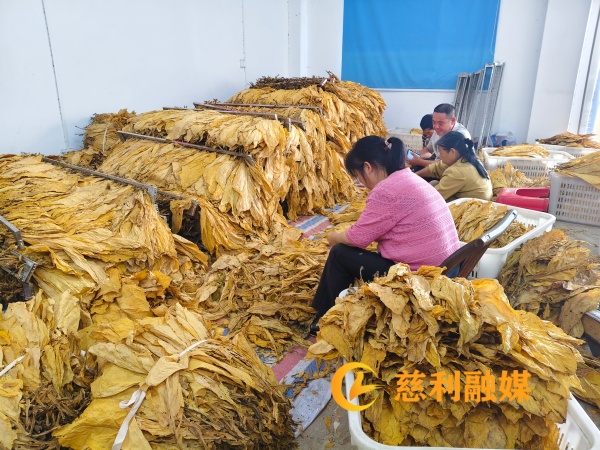 图片1_副本.png