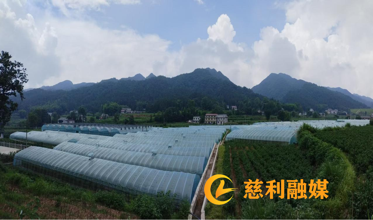 茅庵1.png 茅庵1.png