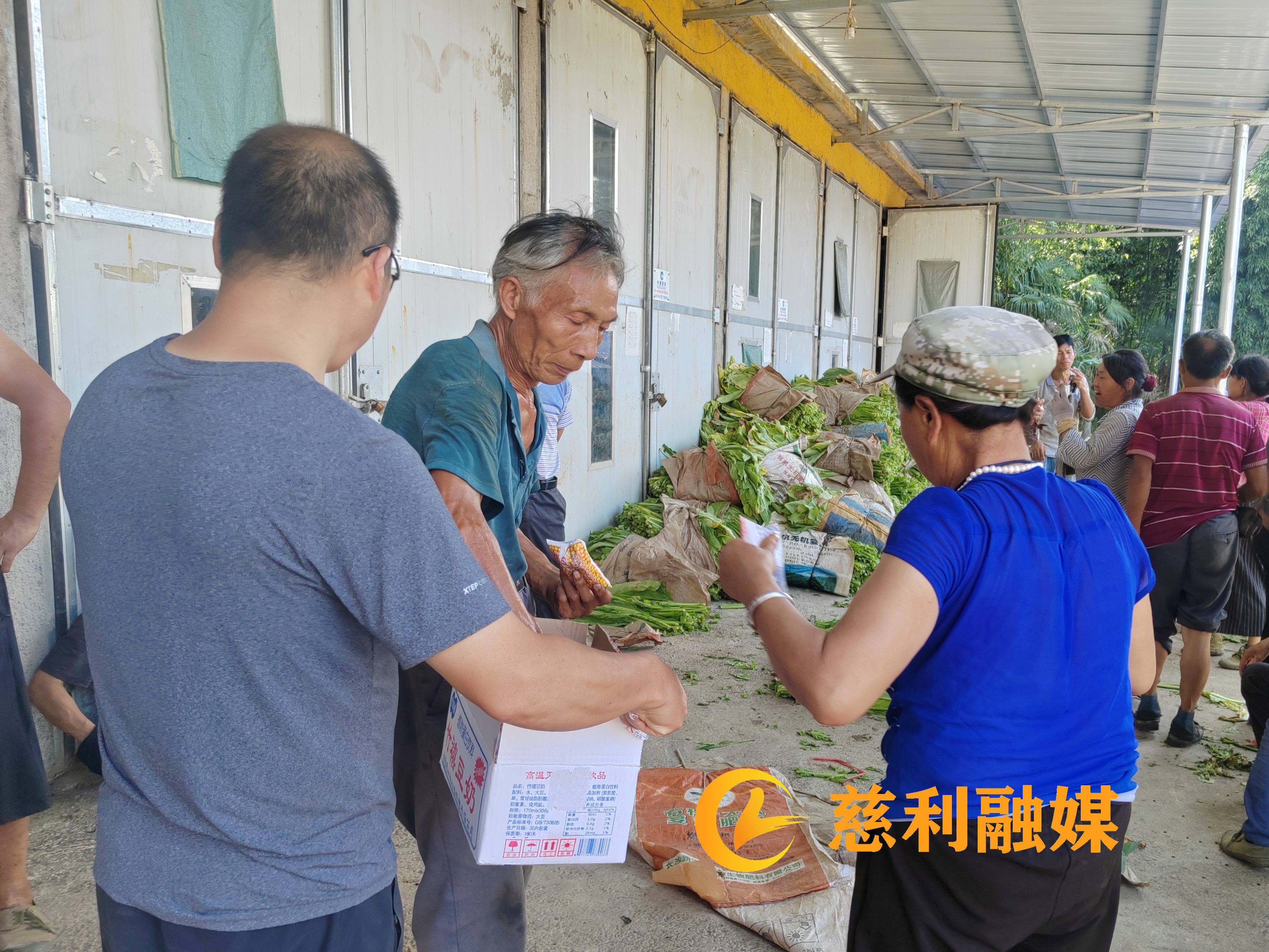 龙泉3.jpg