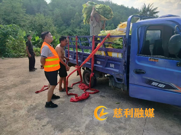 图片6_副本.png 图片6_副本.png