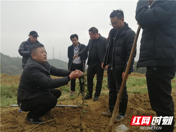 微信图片_20210310095005_副本.jpg