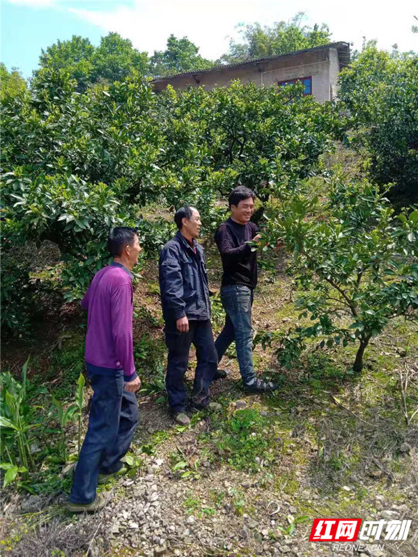 微信图片_202105070925535_副本_副本.jpg