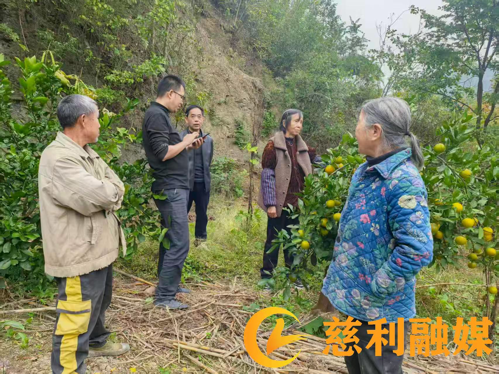 微信图片_20251031085852_26.jpg 微信图片_20251031085852_26.jpg