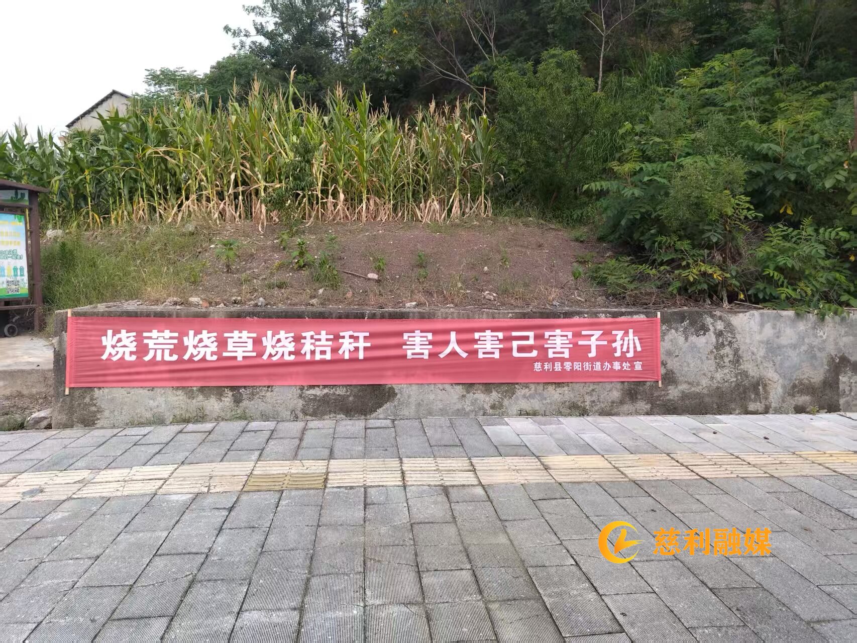 a7036a71986003bccc84a32b5d1f6fa.jpg