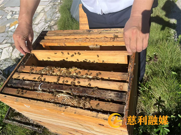 微信图片_20250710152930.jpg