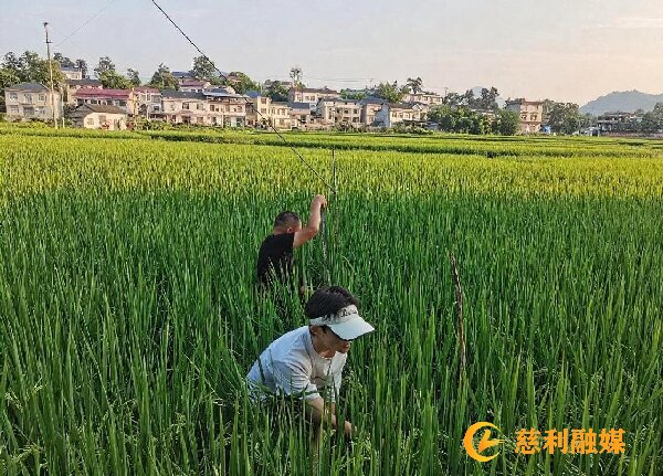 微信图片_20250730161058.jpg