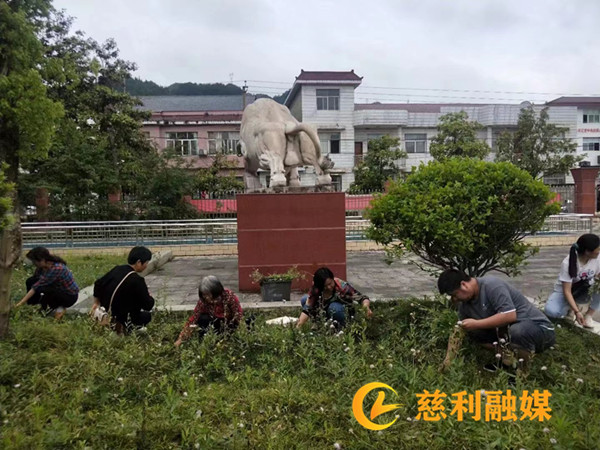 微信图片_2025-07-31_103314_969.jpg