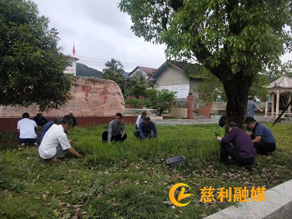微信图片_2025-07-31_103347_720.jpg