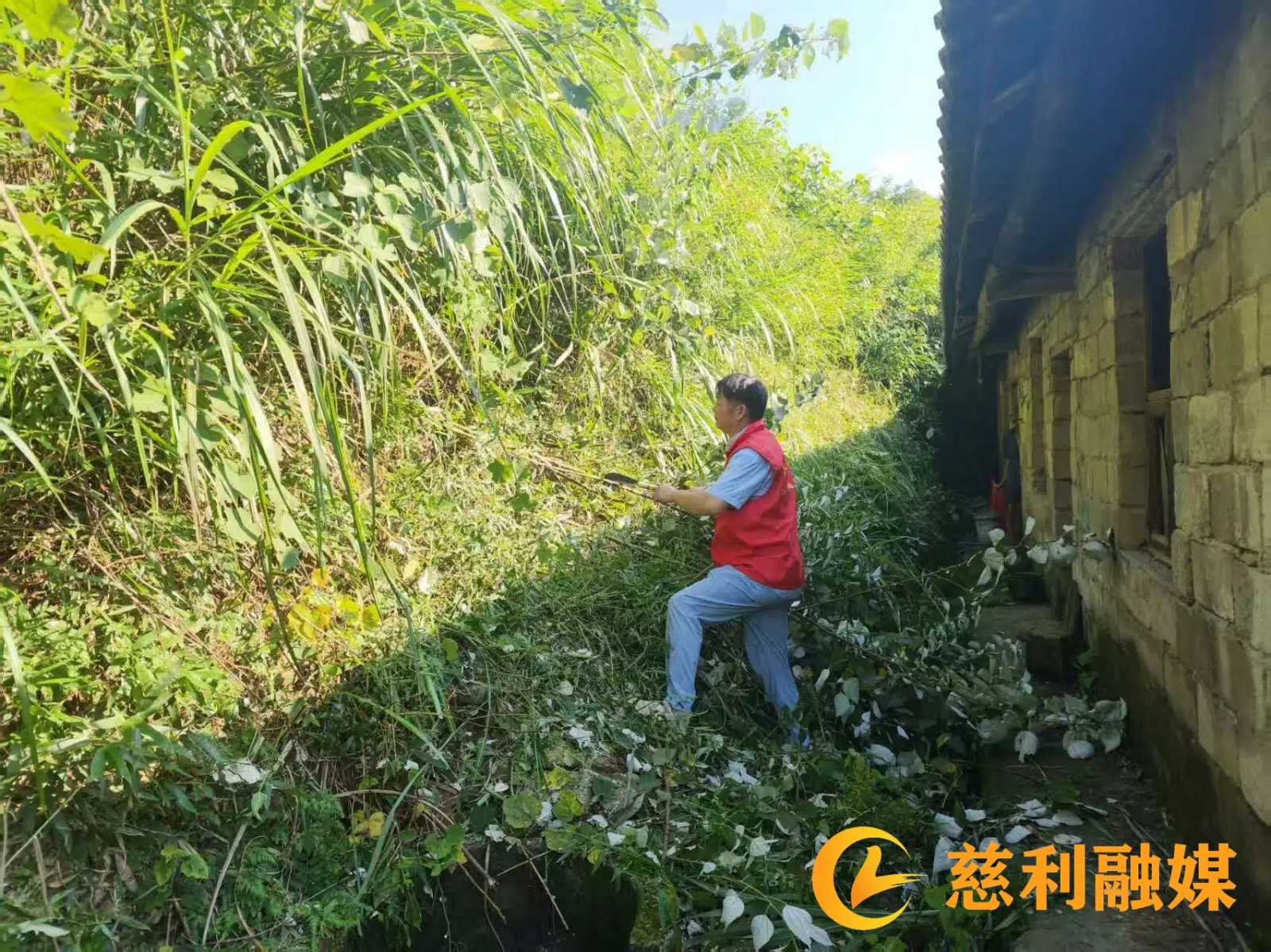 微信图片_20260714084837_2723_39 (1).jpg