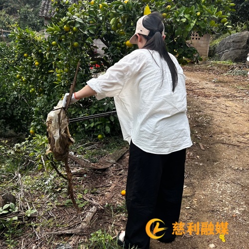 9b8db68b4f2ebb323afeecc81824def3.jpg 9b8db68b4f2ebb323afeecc81824def3.jpg