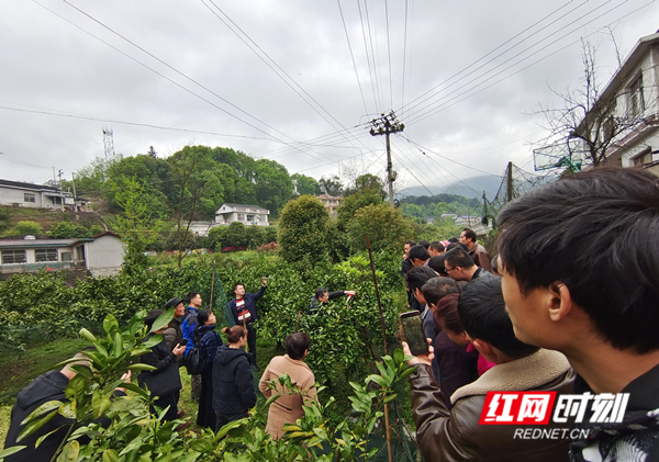 微信图片_20210401170435_副本_副本.jpg 微信图片_20210401170435_副本_副本.jpg