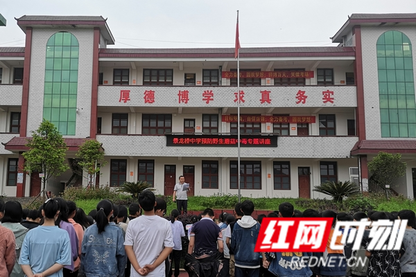 红网时刻_副本1.png