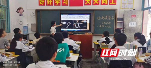 蘑菇1_副本慈利.jpg
