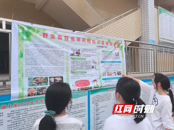 蘑菇2_副本慈利.jpg