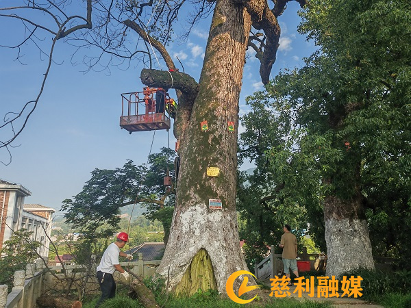 微信图片_20250715080828.jpg