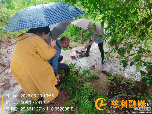 图片3_副本.png