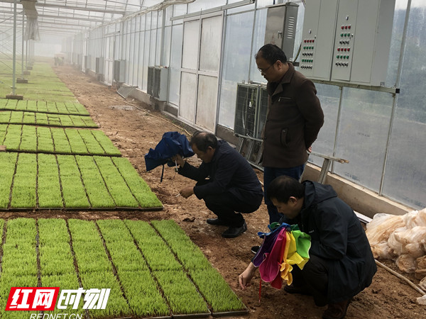 微信图片_20210412211309_副本_副本.jpg 微信图片_20210412211309_副本_副本.jpg