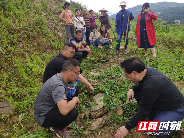 微信图片_20210521111615_副本_副本.jpg