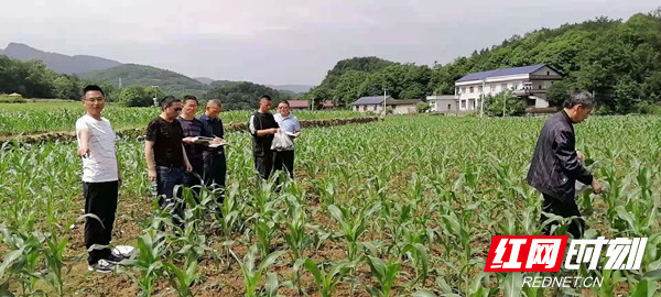 微信图片_20210525160858_副本_副本.jpg