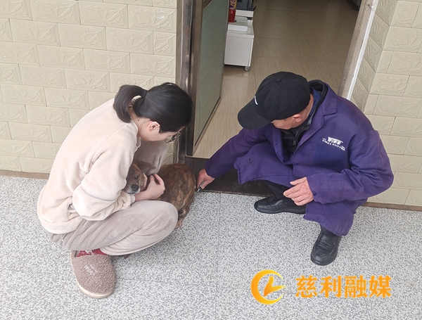 62fc0ac7c831dd638dfcffdb7476fc5_副本.jpg