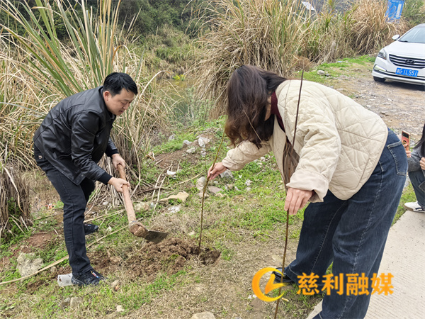 书记植树.jpg