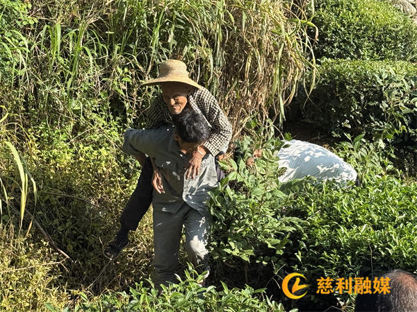 旭日塔救老人 (1).jpg