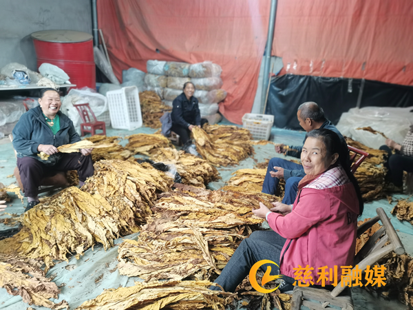 微信图片_20260918101551_979_87.png