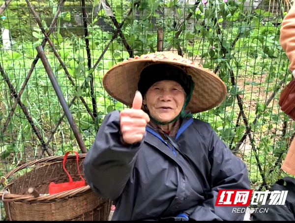 微信图片_20210311093348_红网.jpg