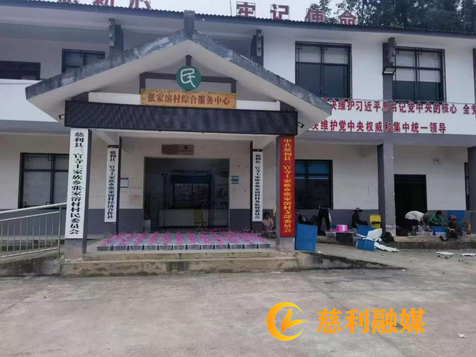 金果果2.jpg 金果果2.jpg