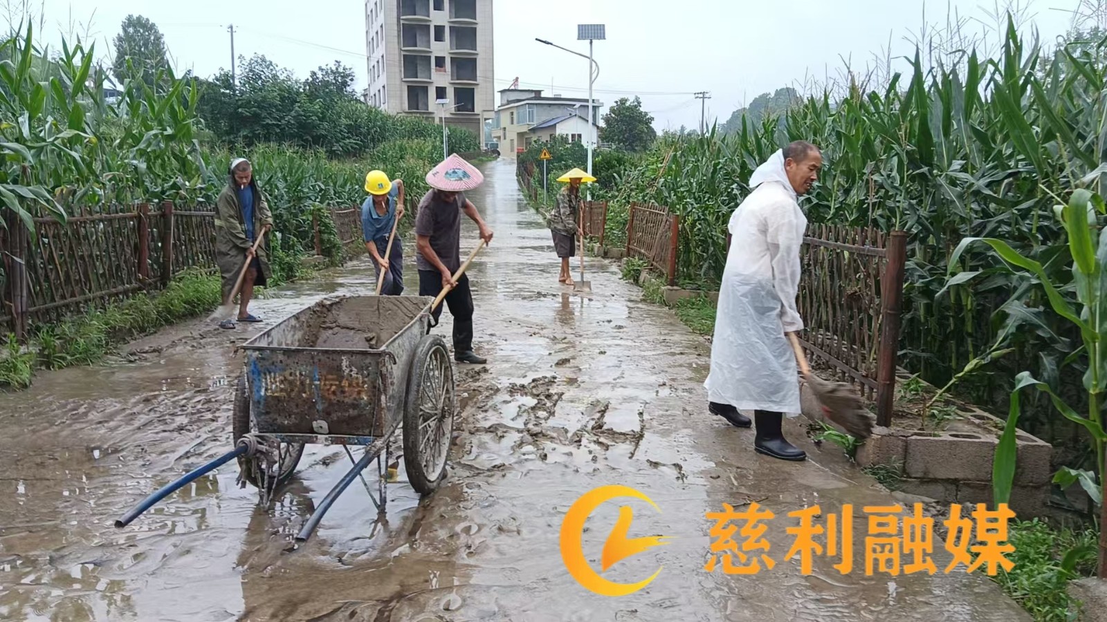 微信图片_20250622121933(1).jpg