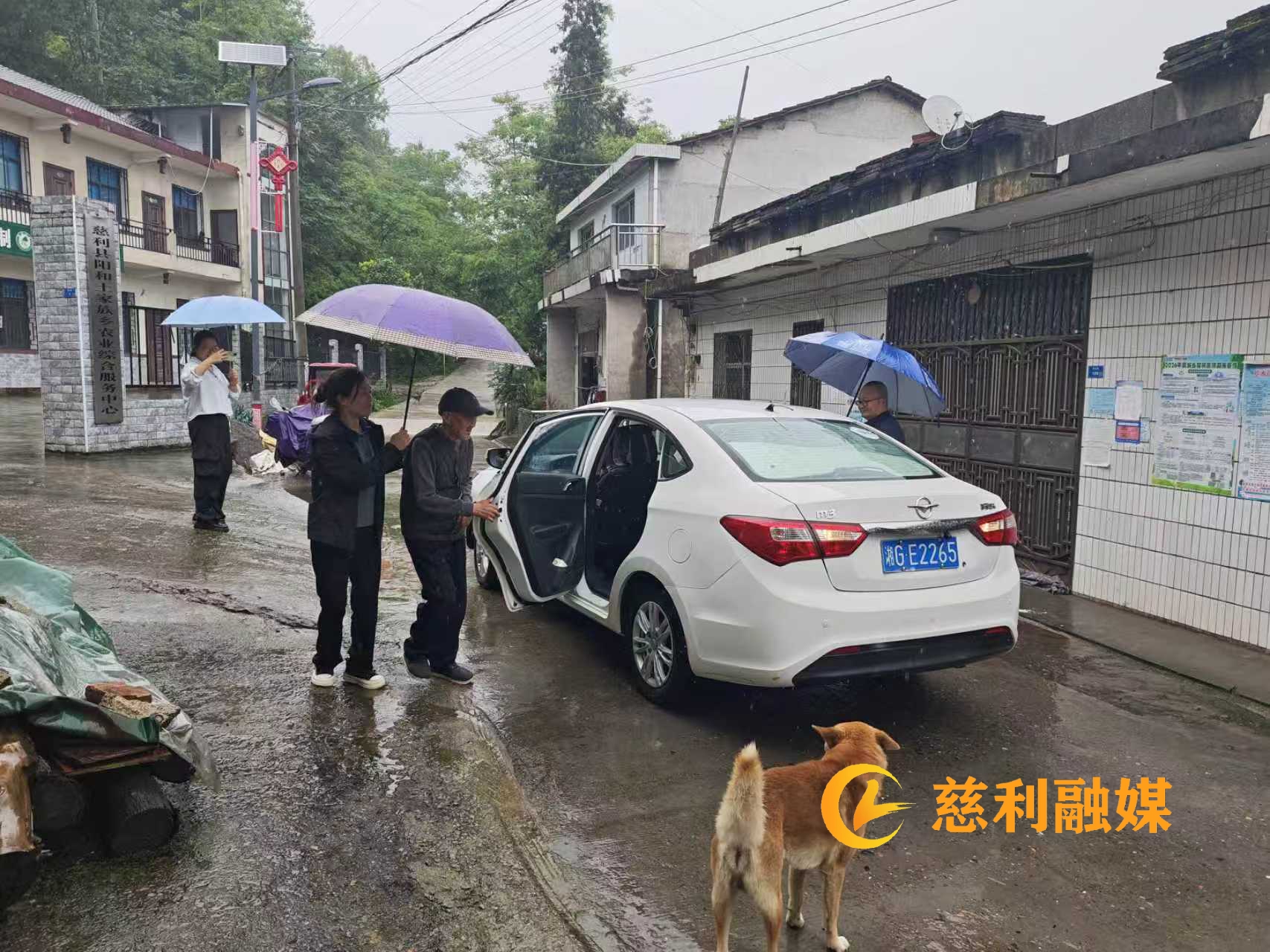 微信图片_20260519160334_359_306.jpg