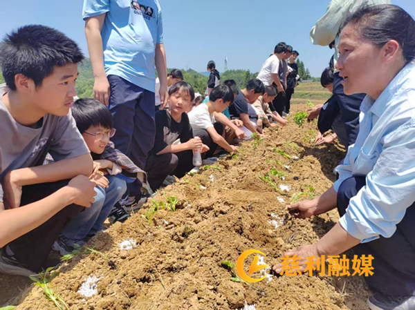 图片2_副本.png
