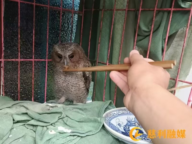微信图片_20260602101141_737_159.jpg 微信图片_20260602101141_737_159.jpg