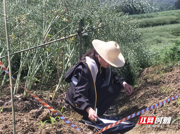 微信图片_202104292017041_副本.jpg