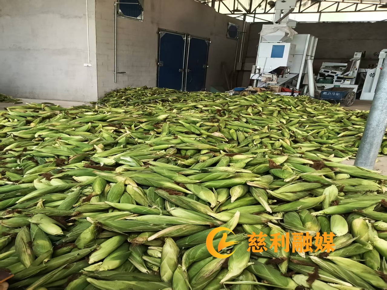 微信图片_20260714160629_20_147_副本.jpg 微信图片_20260714160629_20_147_副本.jpg