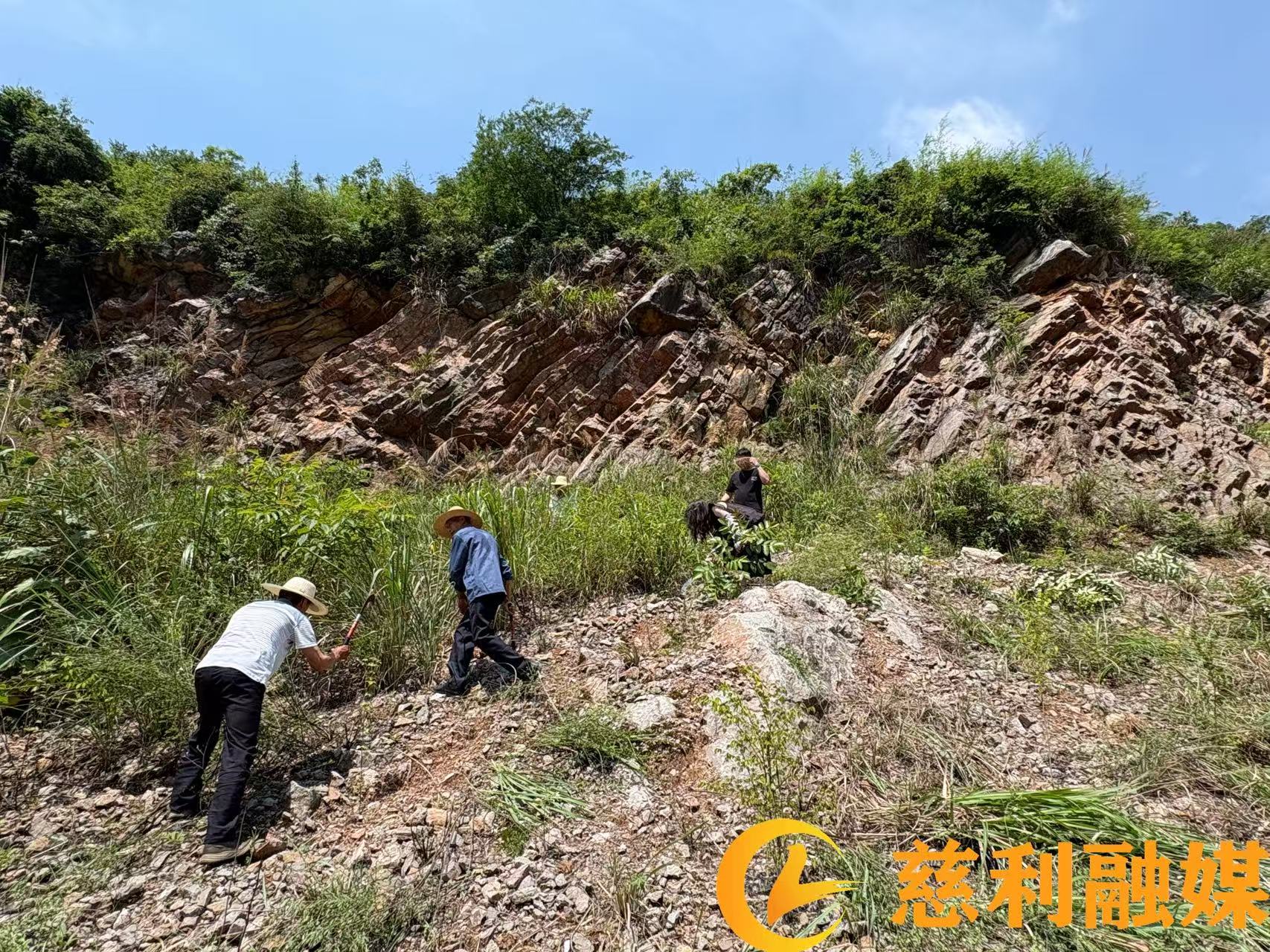 微信图片0617.3.jpg 微信图片0617.3.jpg