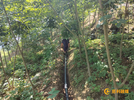 微信图片_20260728105902_215_36.png