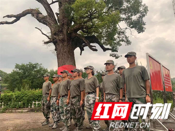 图片7.png
