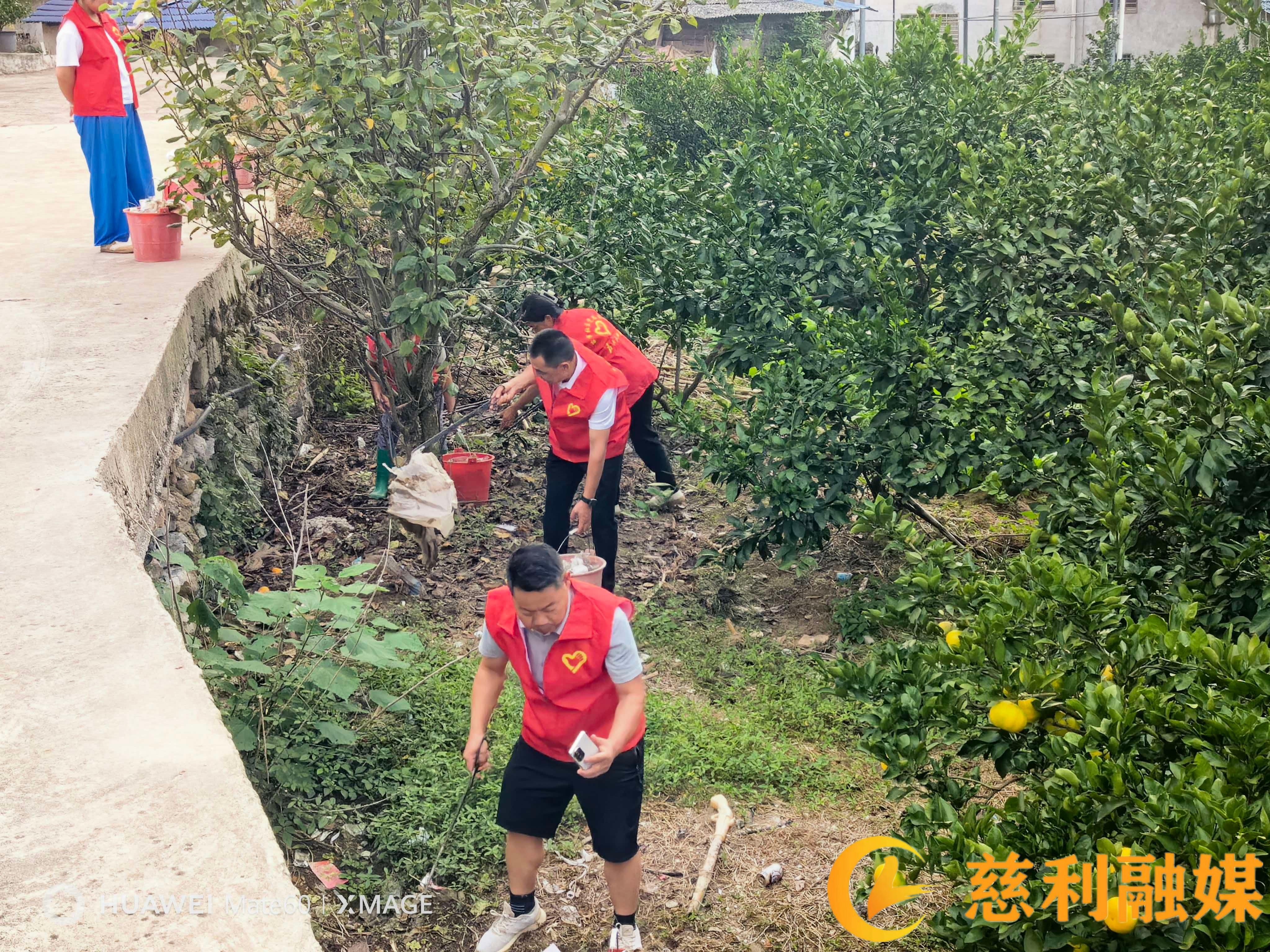 苗市社区1.jpg