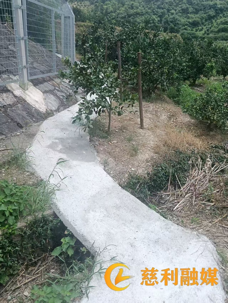 微信图片_20260724105747_102_5.jpg 微信图片_20260724105747_102_5.jpg