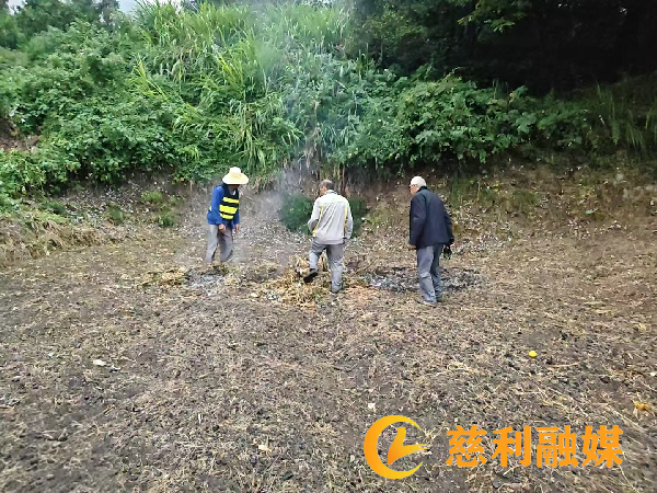 图片2_副本.png 图片2_副本.png