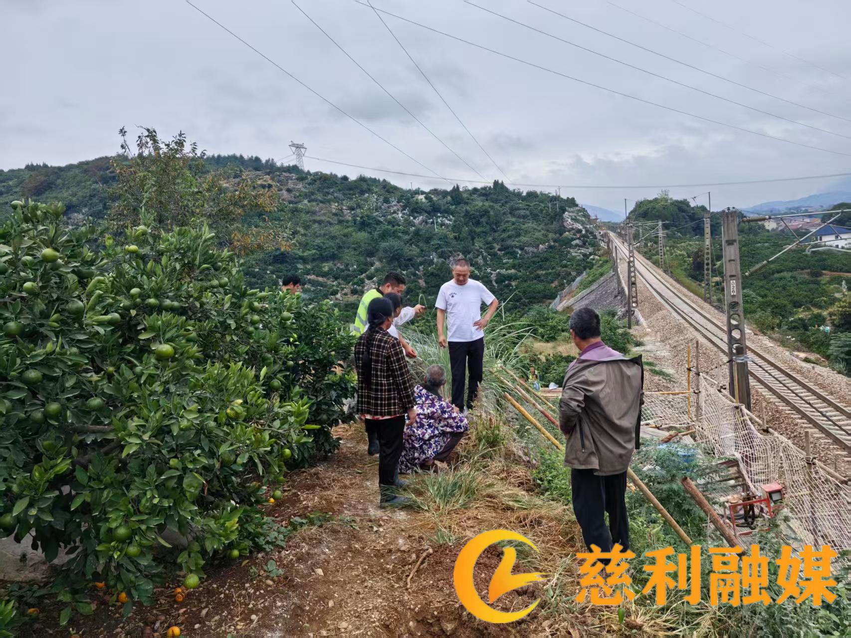 微信图片_20260921172105_288_736.jpg 微信图片_20260921172105_288_736.jpg