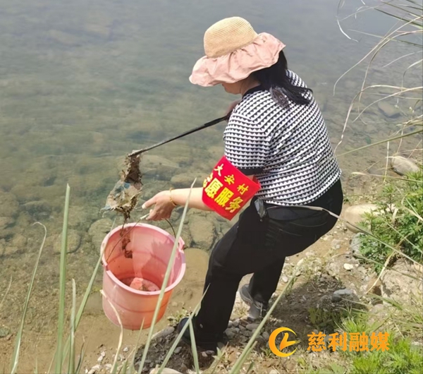 图片4_副本1.jpg